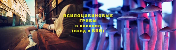 круглые Алексеевка