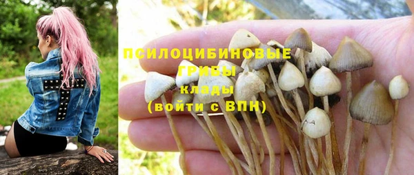 круглые Алексеевка